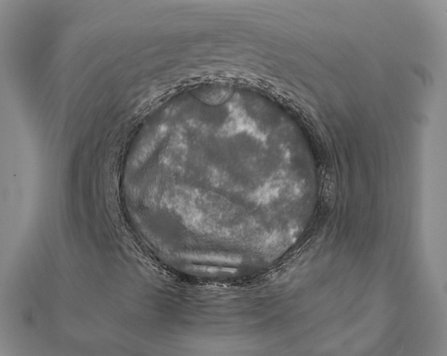 X0000112011489200908241443