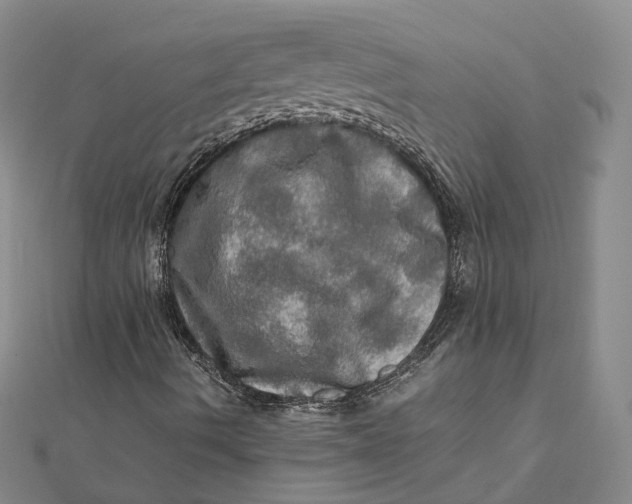 X0000112011490200908241443