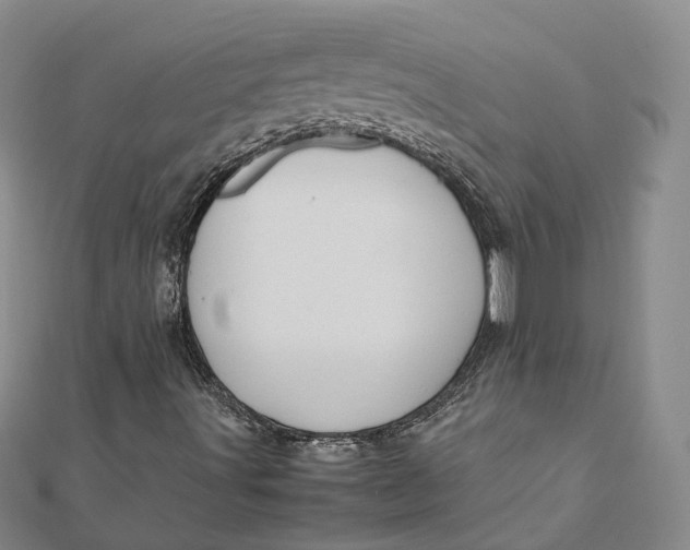 X0000112011491200908241443