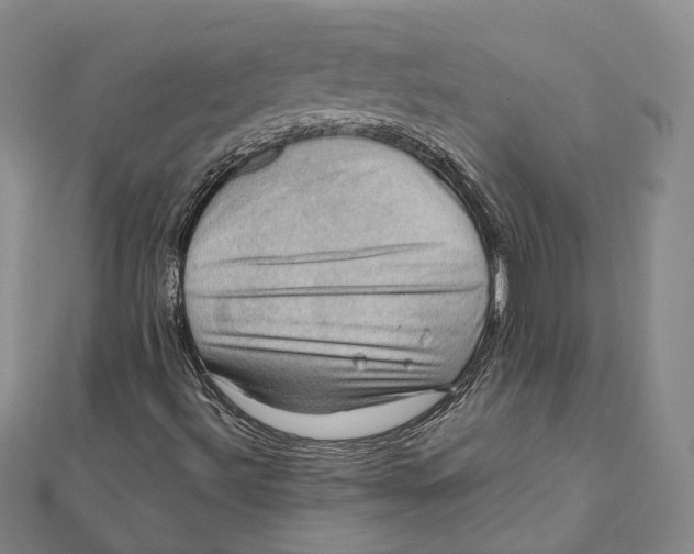 X0000112011492200908241443