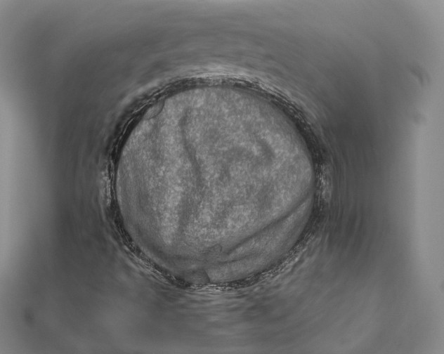 X0000112011493200908241443