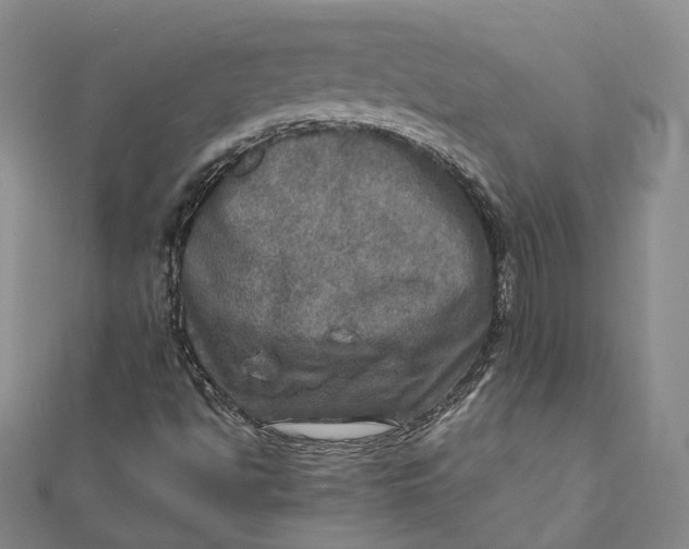 X0000112011494200908241443