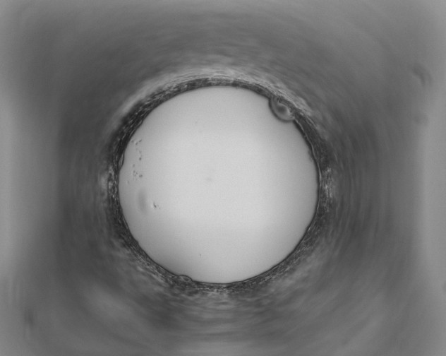 X0000112011495200908241443