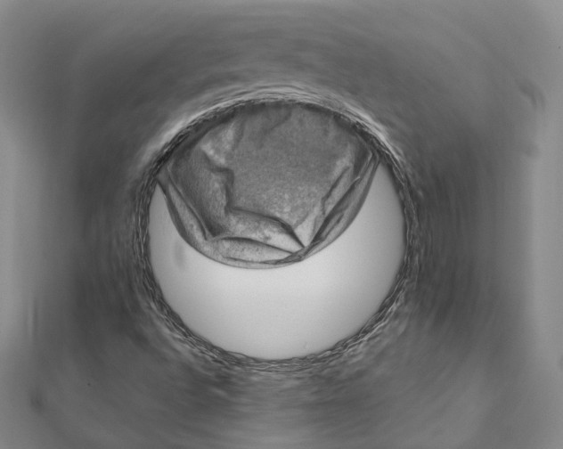 X0000112011496200908241443