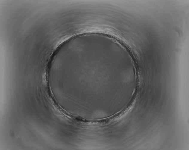 X0000112011497200908241443