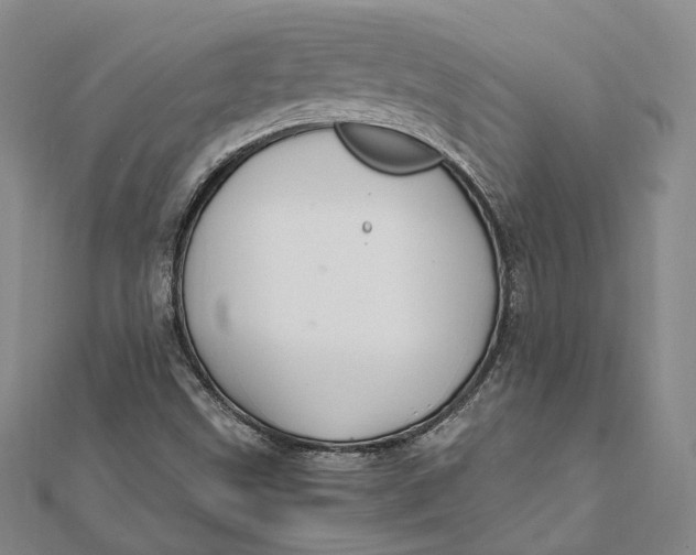 X0000112011499200908241443