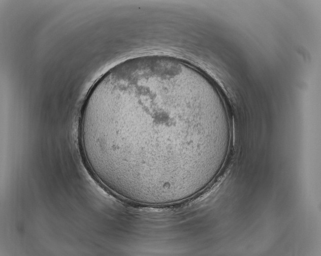 X0000112011500200908241443