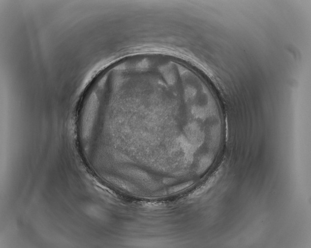 X0000112011501200908241443