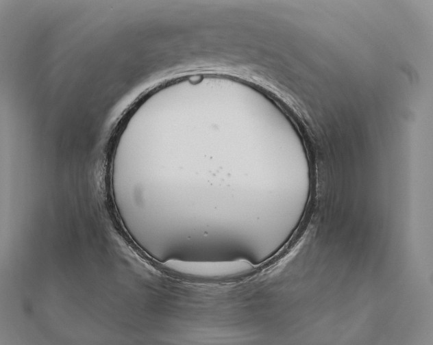 X0000112011502200908241443