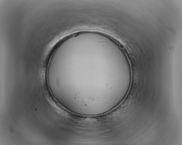 X0000112011503200908241443