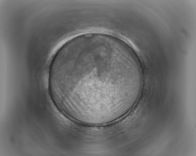 X0000112011504200908241443