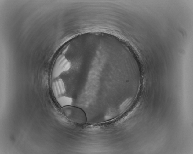 X0000112011505200908241443