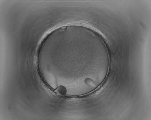 X0000112011506200908241443