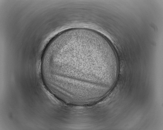 X0000112011507200908241443