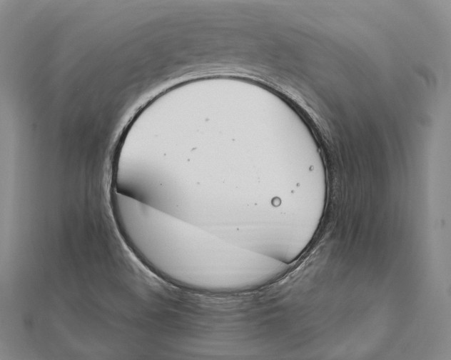 X0000112011508200908241443