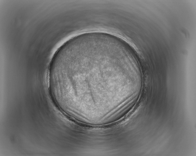 X0000112011510200908241443