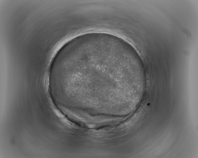 X0000112011511200908241443