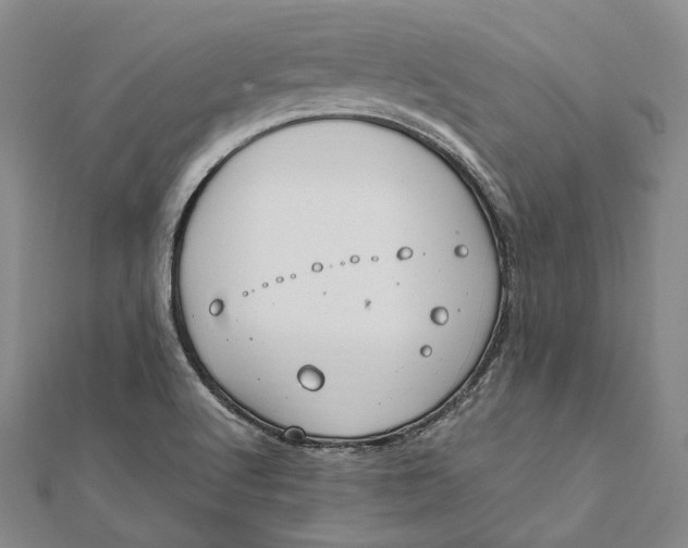 X0000112011512200908241443