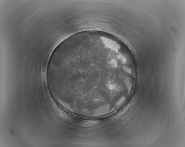 X0000112011513200908241443