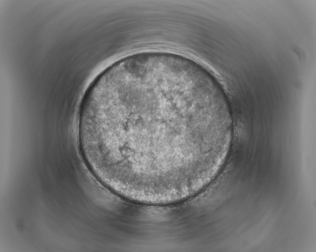 X0000112011514200908241443