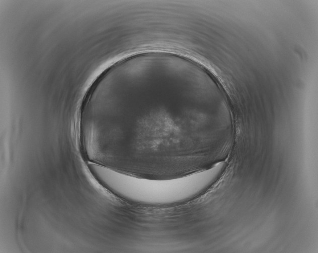 X0000112011515200908241443