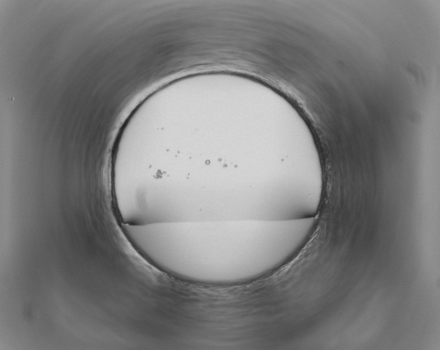 X0000112011516200908241443