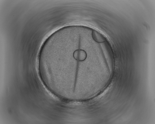 X0000112011517200908241443