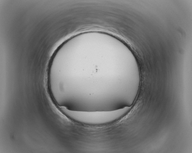 X0000112011518200908241443