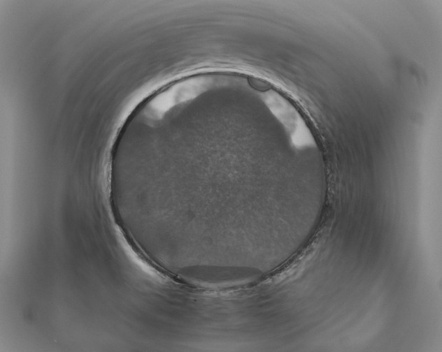 X0000112011519200908241443