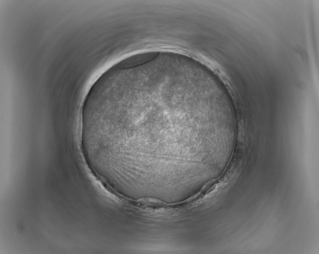 X0000112011520200908241444