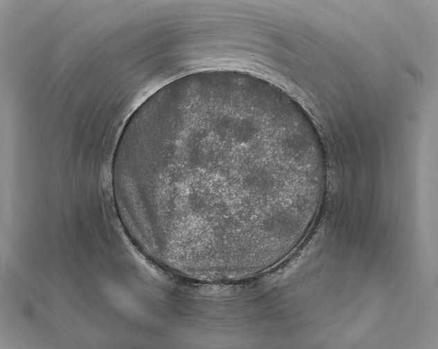 X0000112011521200908241444