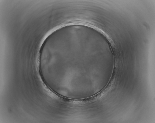 X0000112011522200908241444