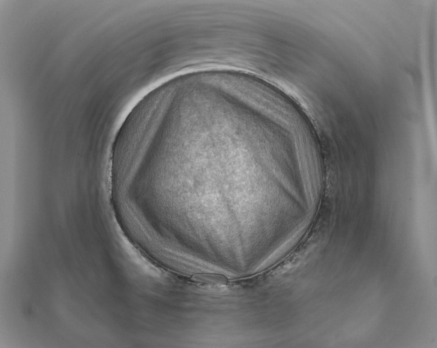 X0000112011524200908241444