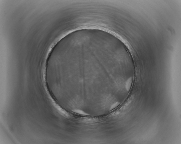 X0000112011525200908241444