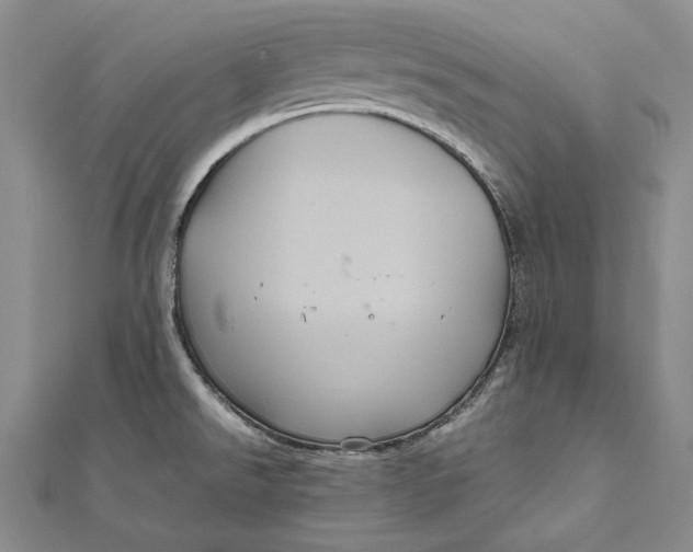 X0000112011526200908241444