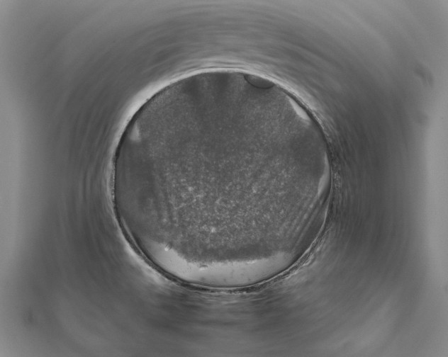 X0000112011527200908241444