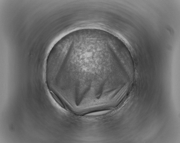 X0000112011528200908241444