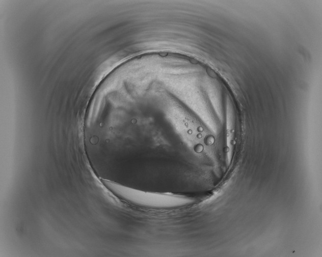 X0000112011529200908241444