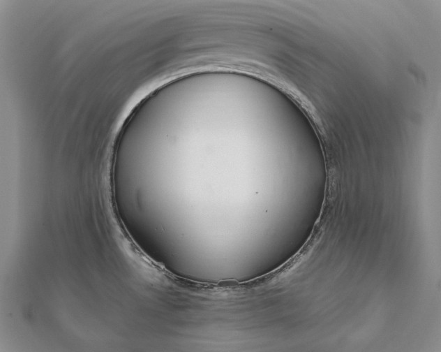 X0000112011530200908241444