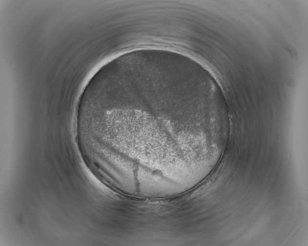 X0000112011531200908241444