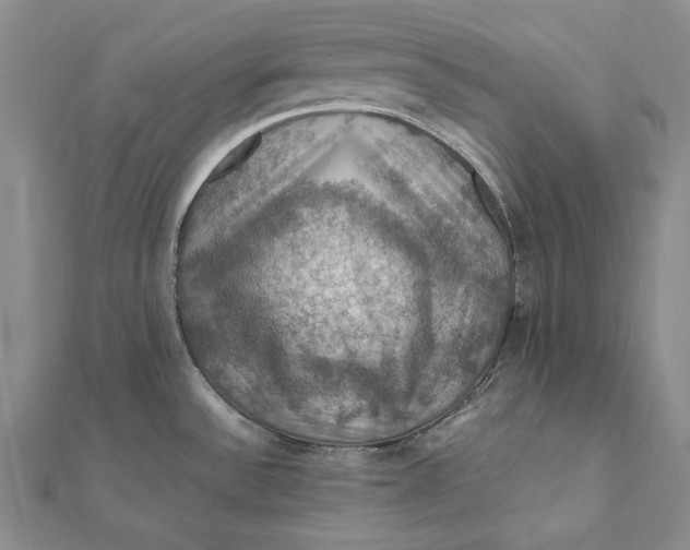 X0000112011532200908241444