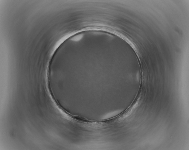 X0000112011533200908241444