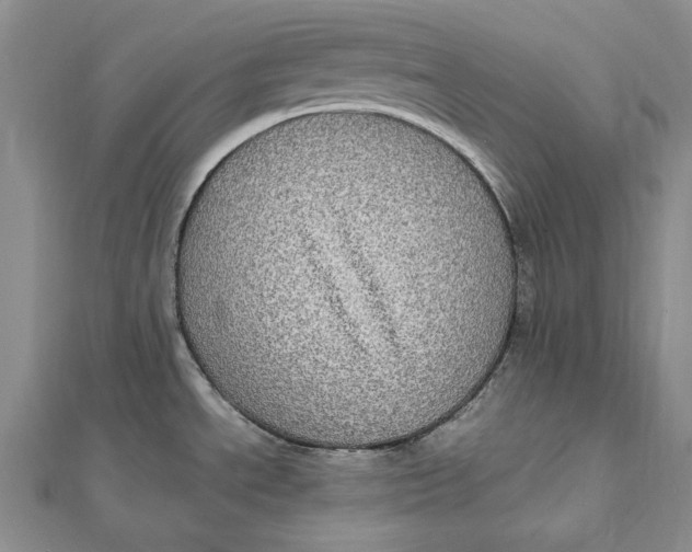 X0000112011534200908241444