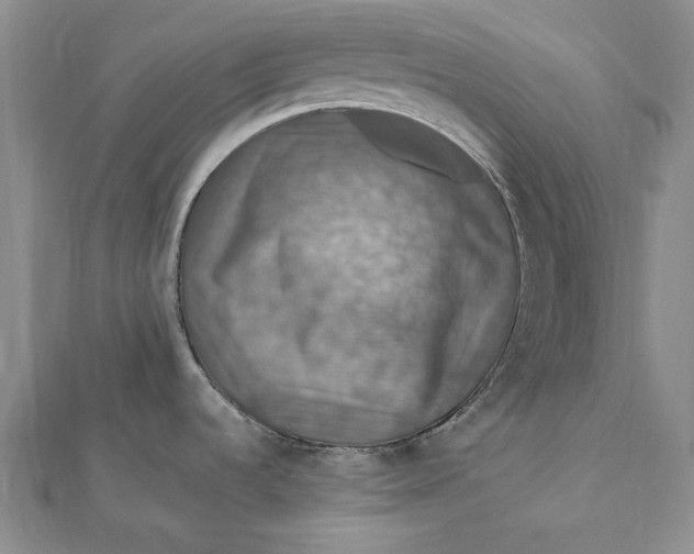 X0000112011536200908241444