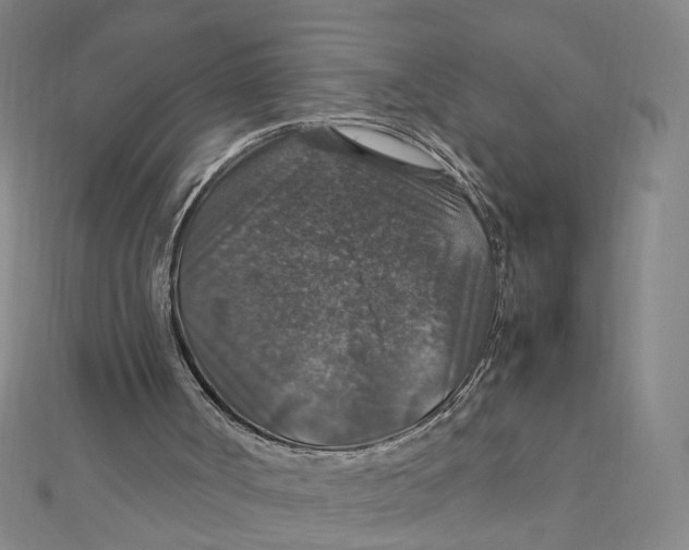 X0000112010002200908311144