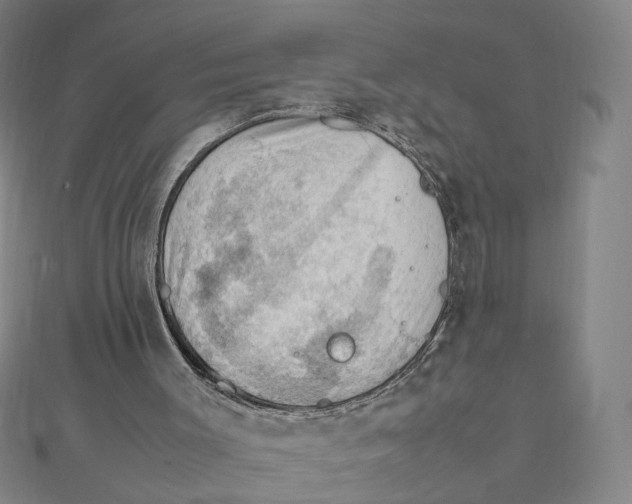 X0000112010003200908311144