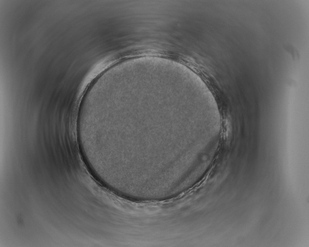 X0000112010004200908311143