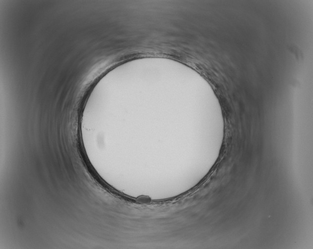 X0000112010005200908311143