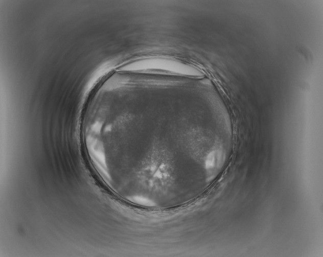 X0000112010006200908311143
