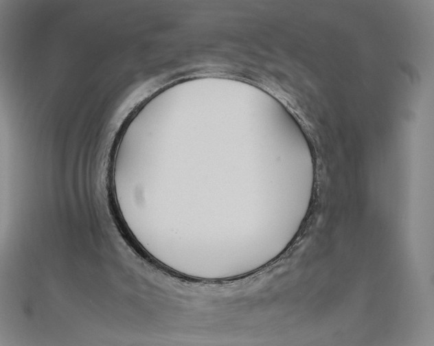 X0000112010007200908311143
